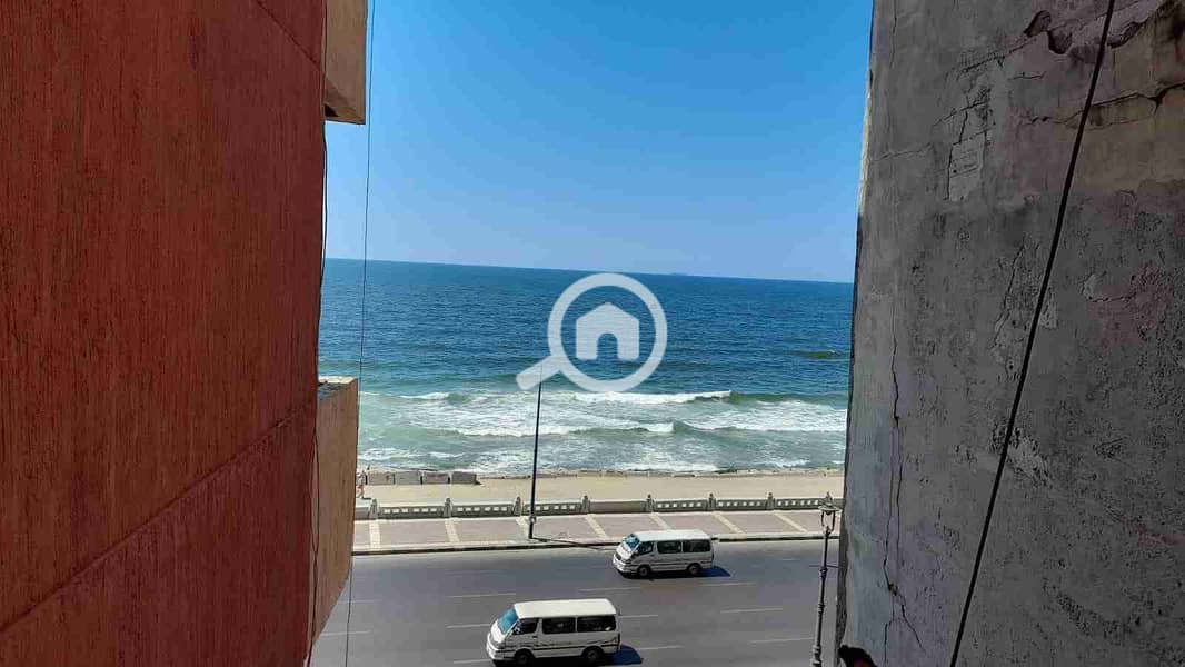 1000261224. jpg 1000261224. jpg