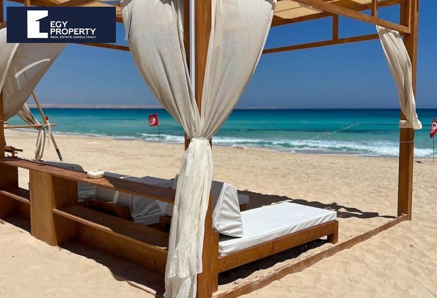 8 2d4e8569-8a85-4ea7-8e65-540be6b7dfdc. jpg