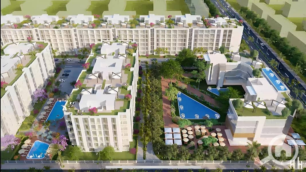 21 IMG-20250824-WA0081. jpg