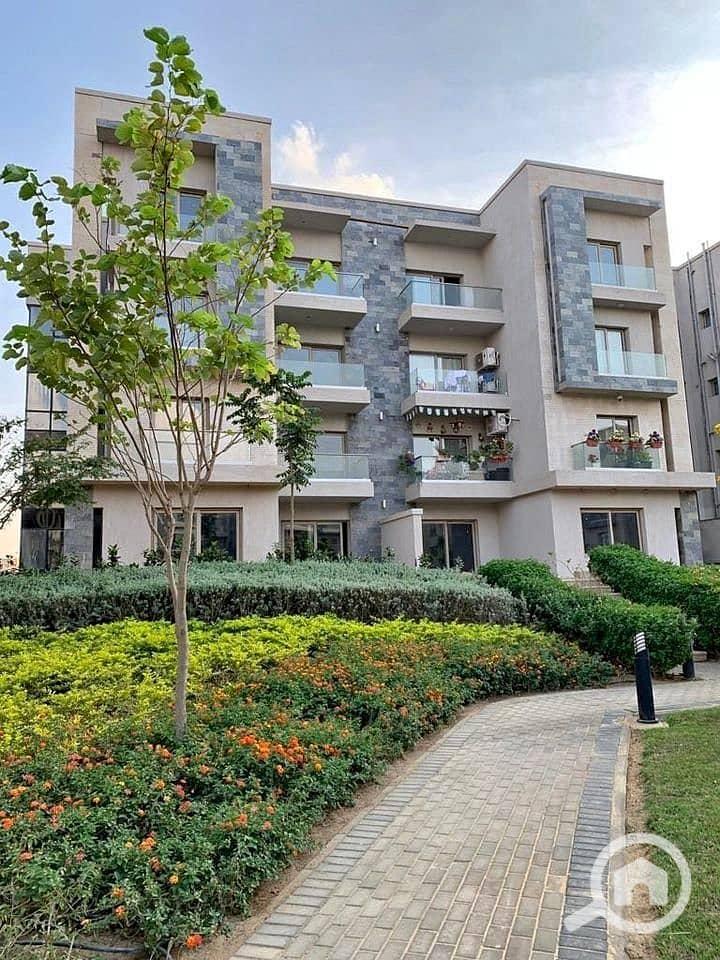 4 313445585_8337268496343638_6748525357156366278_n. jpg