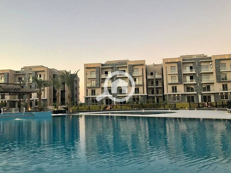 12 371922986_244500595222622_3630011231314544349_n. jpg