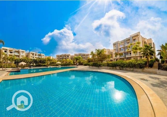 13 377275845_6574612282630462_943970855560091456_n. jpg