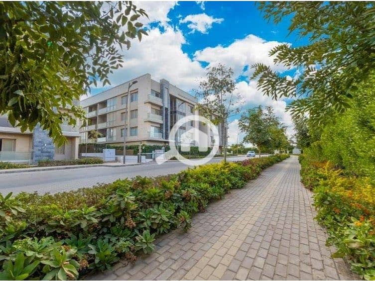 14 377296615_9865870930153676_1905148241009117673_n. jpg