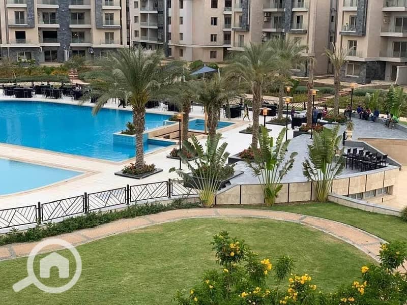 11 310474928_8174334239306075_3271538544101068838_n. jpg