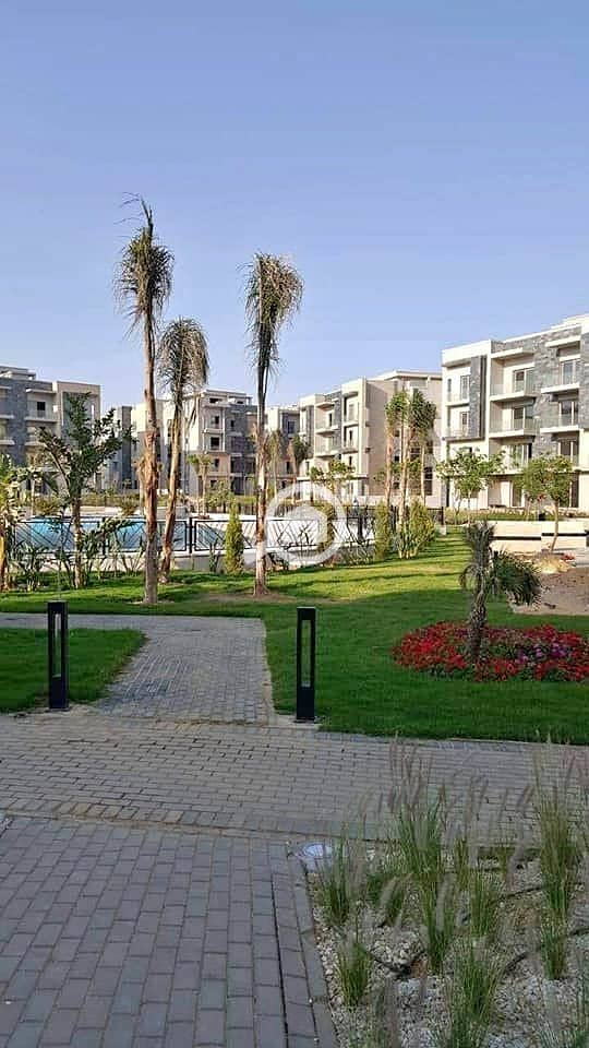 12 312613414_5636652516418398_5907627138241583927_n. jpg