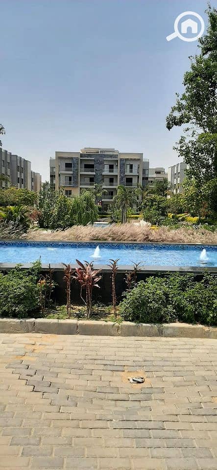 15 343498654_2113329915724904_5616644206372696108_n. jpg