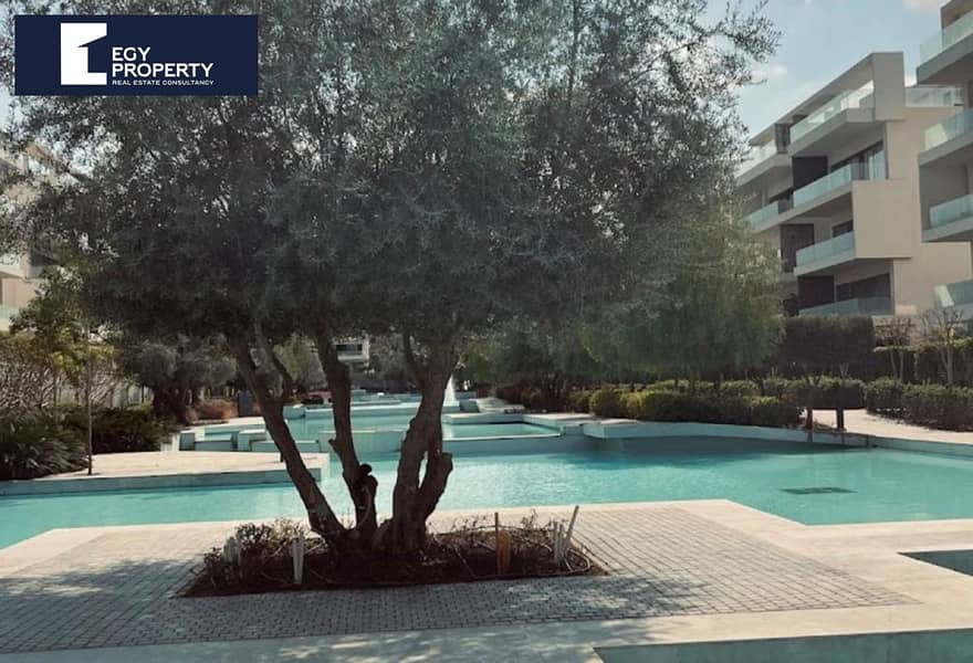 4 7d8e0b56-5734-4051-a730-31e55c8ddac8_original (1). jpg