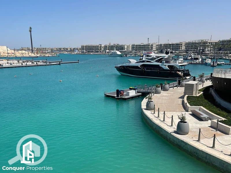 6 Untitled design - 2023-07-26T150559.910. png