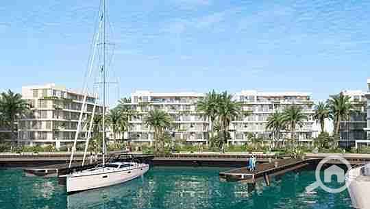 3 images - 2025-08-04T183157.987. jpeg