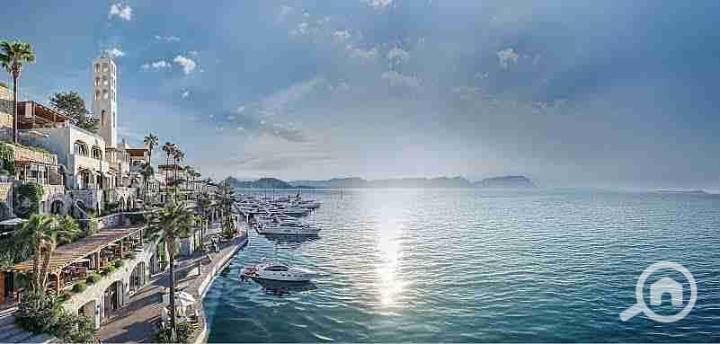 6 images - 2025-08-04T182921.368. jpeg