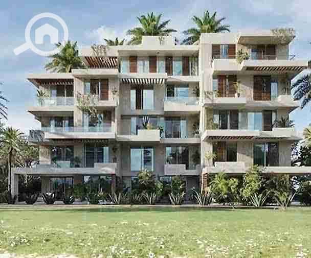 5 images - 2025-08-04T183047.103. jpeg