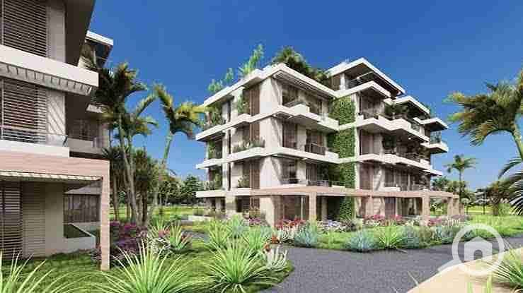 6 images - 2025-08-04T183111.177. jpeg