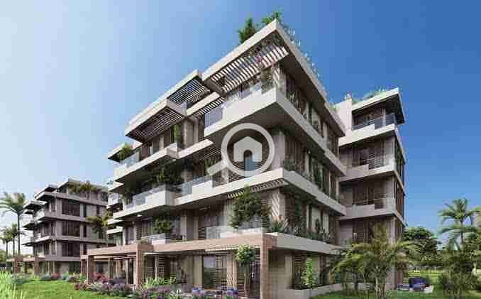 7 images - 2025-08-04T183100.772. jpeg