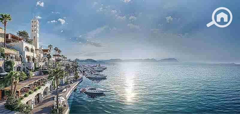 8 images - 2025-08-04T182921.368. jpeg