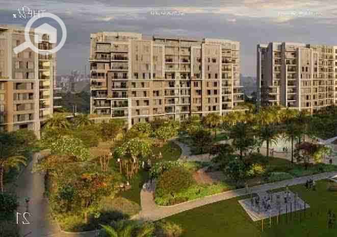 5 images - 2025-08-24T202724.635. jpeg