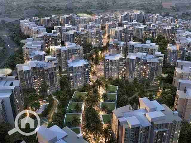 11 images - 2025-08-24T202831.939. jpeg