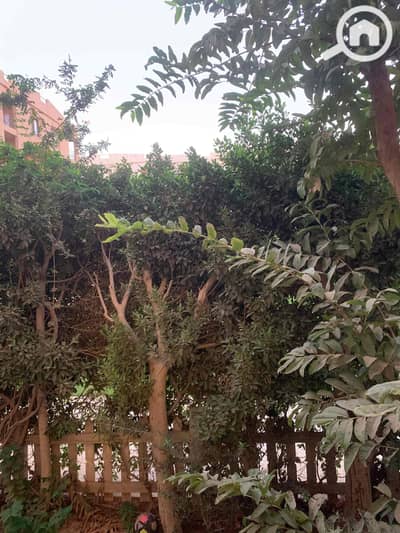 فلیٹ 2 غرفة نوم للايجار في القاهرة الجديدة، القاهرة - 29fce575-98a8-47c3-b712-39aa97d7b671. jpg