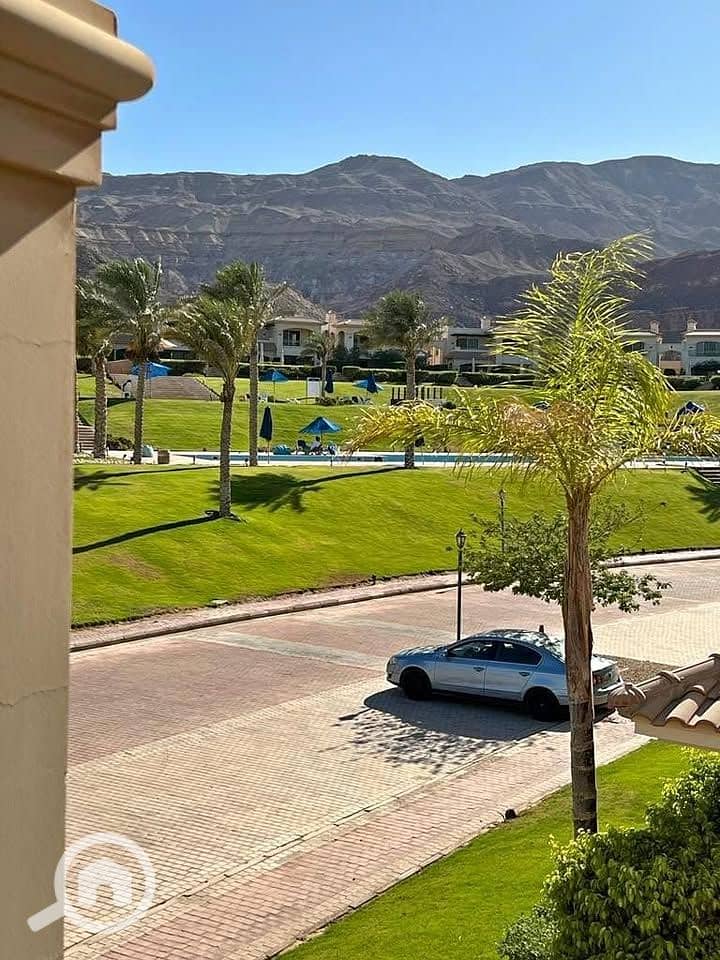 8 462194957_892144369534938_8771753746049724131_n. jpg