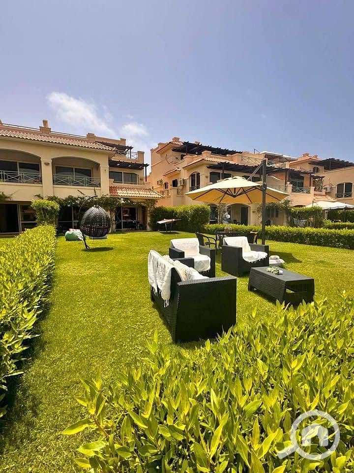 9 463258902_529767106341521_2795238874674077946_n. jpg