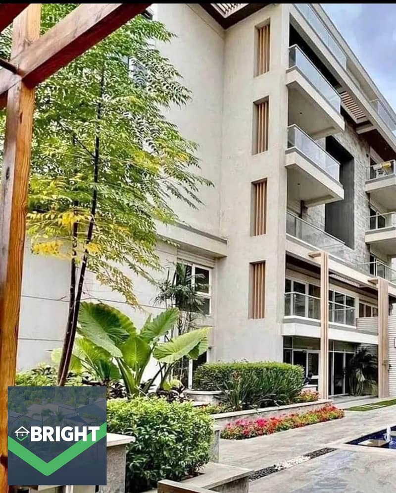 10 d440cf0b-8ceb-4346-8179-4e01f89c15d5. jpeg