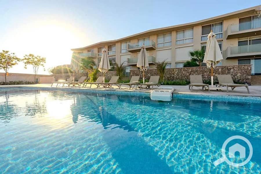 10 1ef036de-6d66-4e00-bd53-7d41f3f8f16b. jpg