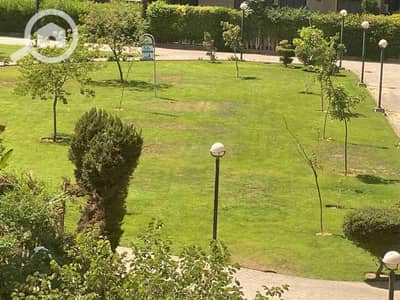 2 Bedroom Apartment for Rent in New Cairo, Cairo - 1000612975. jpg 2 Bedroom Apartment for Rent in New Cairo, Cairo - 1000612975. jpg