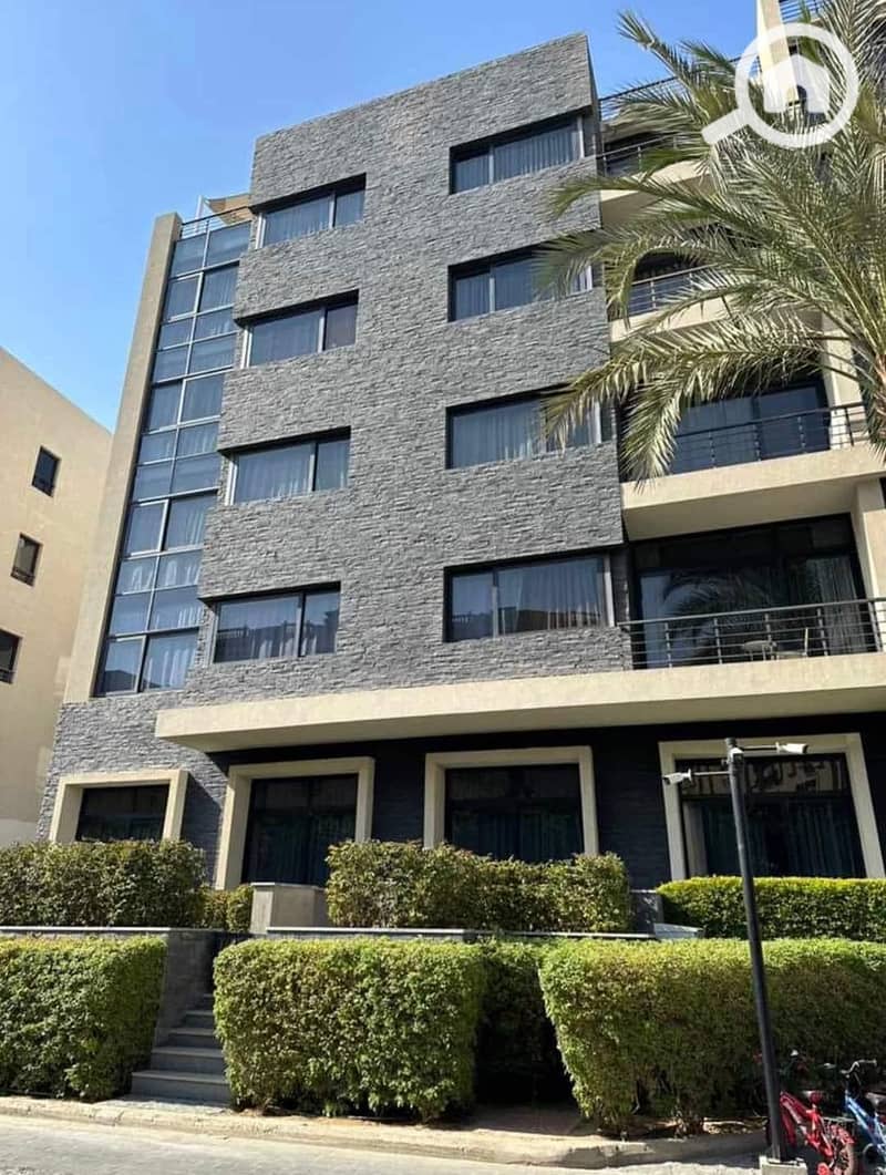 4 392891078_1364916711063323_1969759096551859209_n. jpg