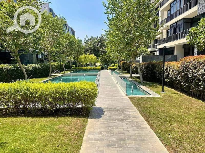 11 424879790_294921626928811_4589931739054570156_n. jpg