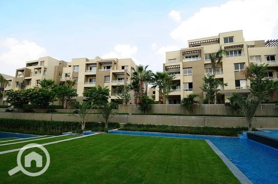 5 d378e745-77e8-4c54-9f36-d05d78b04379. jpg