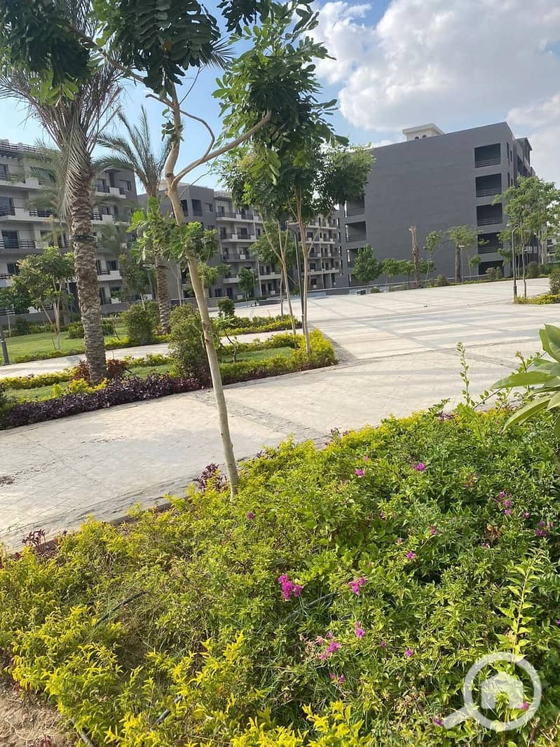 10 WhatsApp Image 2025-05-29 at 9.30. 32 PM (1). jpeg