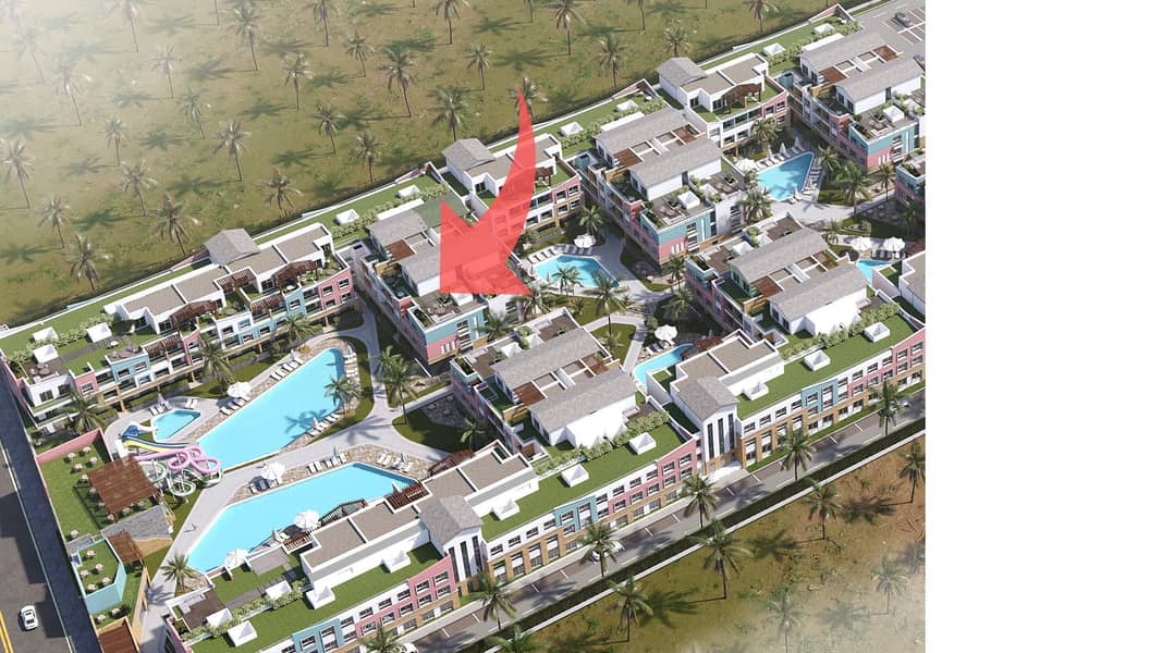 13 تصميم بدون عنوان (1). jpg