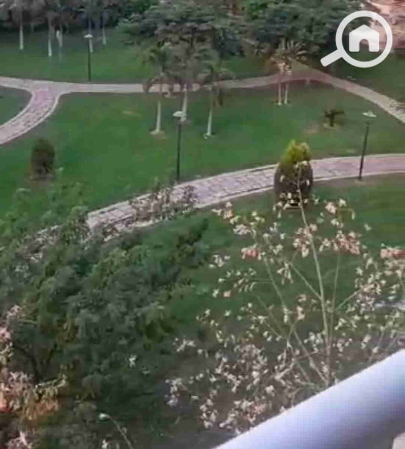 1000397804. jpg 1000397804. jpg