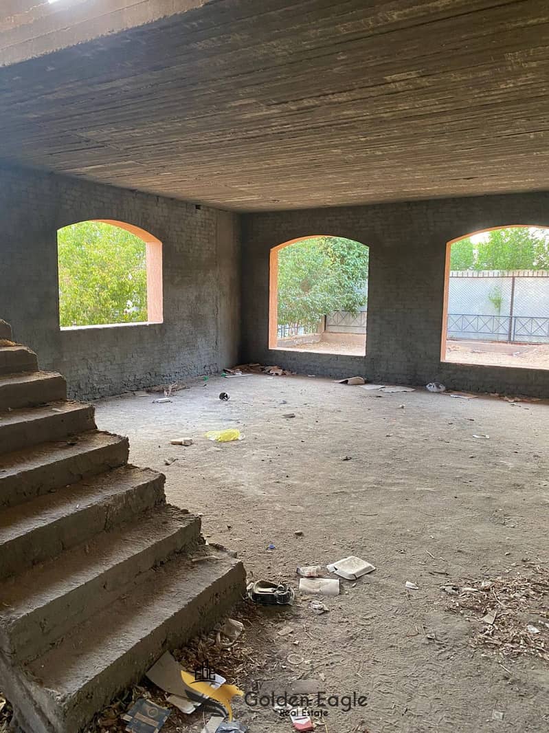 6 572073830_1495754754988385_7610111733573832240_n. jpg