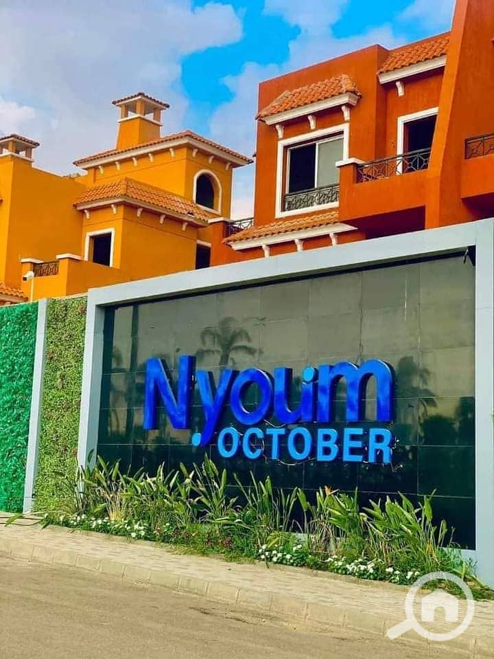 10 468053497_493158157065241_6245774254886226913_n. jpg