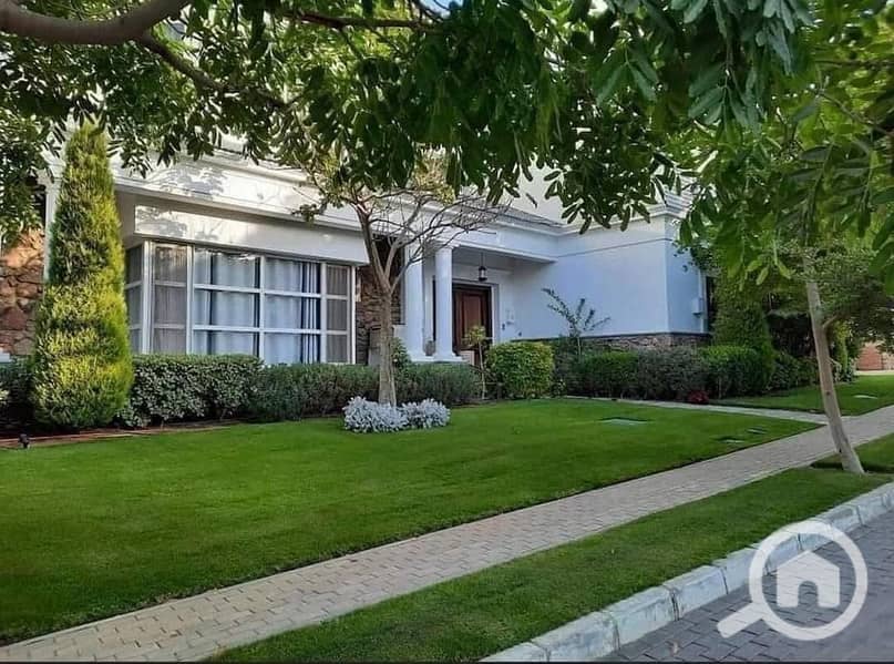 2 24a037c8-1fd4-4994-b556-5e9f7ce0b0e1. jpeg