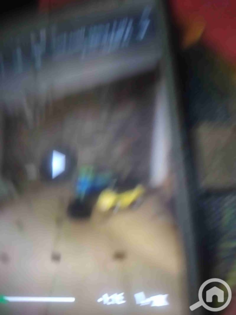 4 ٢٠٢٥١٠٢٨_٢٠٥٧٤٨. jpg