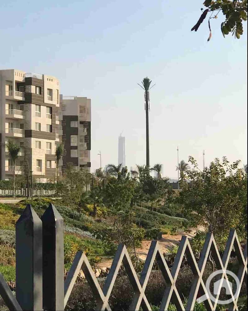 1000462048. jpg 1000462048. jpg