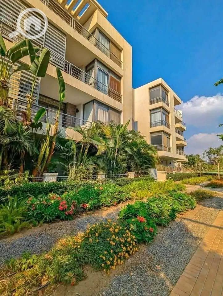 11 557644845_1533247674534931_2253537470138759849_n. jpg