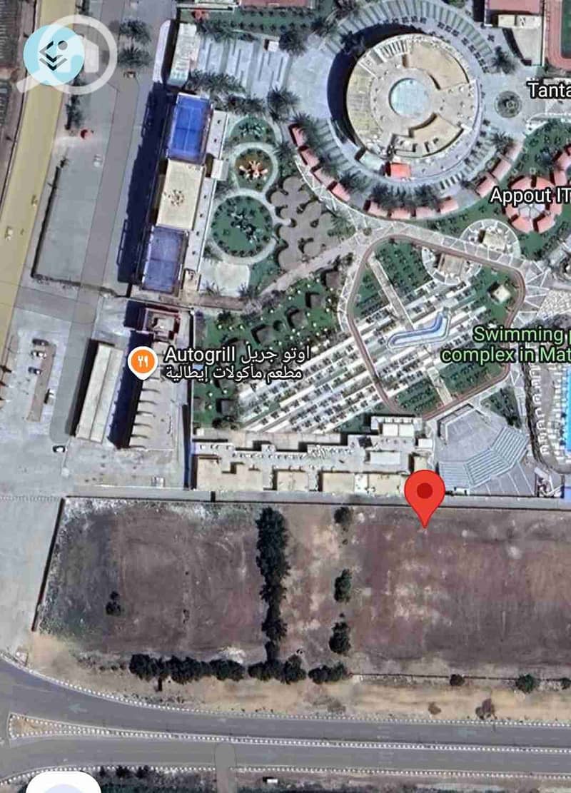 1000546229. jpg 1000546229. jpg