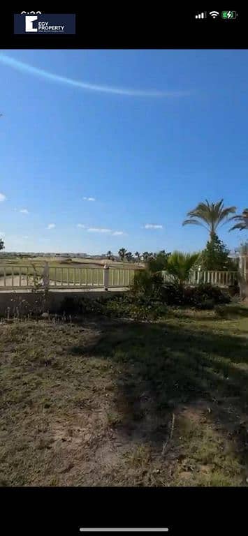 3 _files_IMG_7939. png