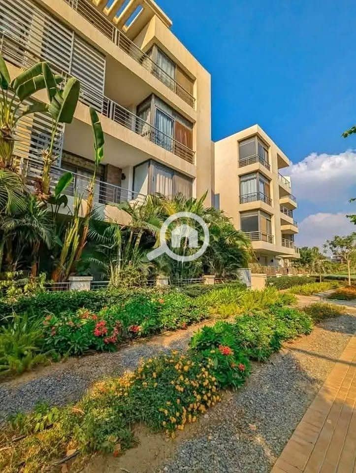 11 557644845_1533247674534931_2253537470138759849_n. jpg