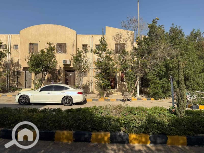 10 6e8e04e7-4d1e-49c0-8e5a-cf5871e7e4f1. jpg