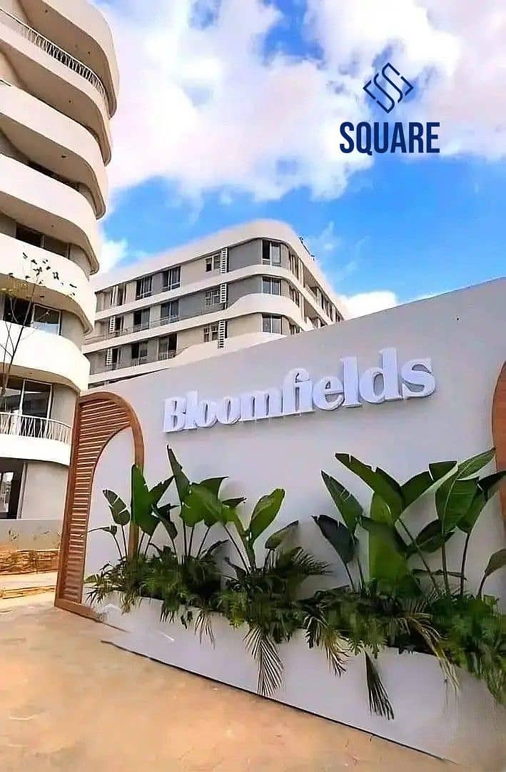 4 32799924-800x600. jpg