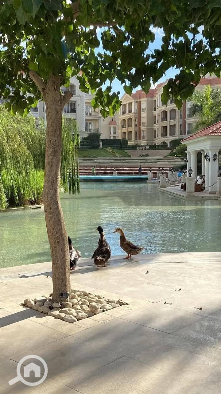 7 486671720_1192050705865464_3786324747069489625_n. jpg