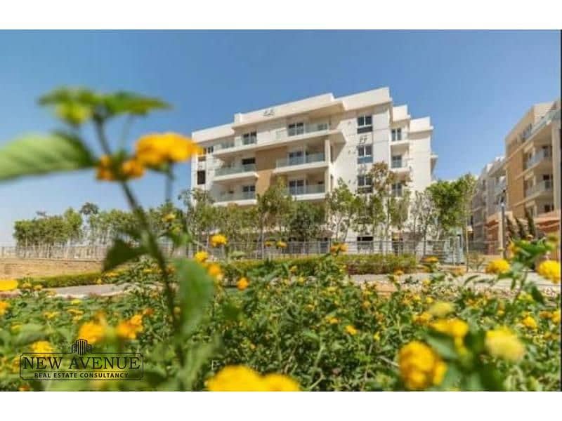 3 WhatsApp Image 2025-10-21 at 5.57. 13 PM (1). jpg