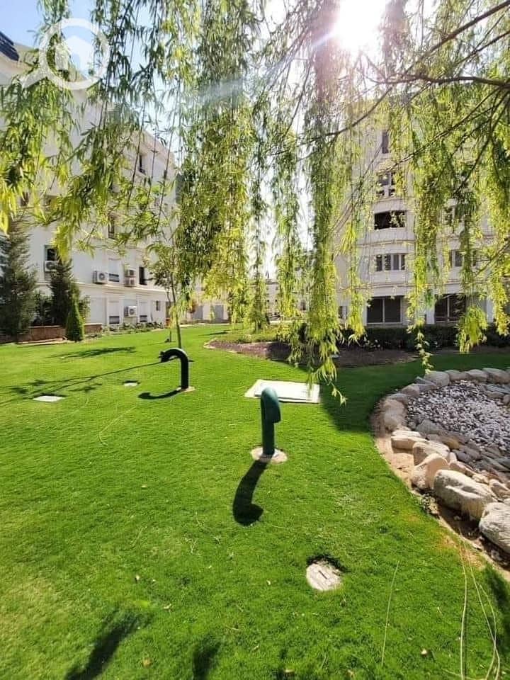 9 WhatsApp Image 2024-07-01 at 15.14. 16_74d65609. jpg