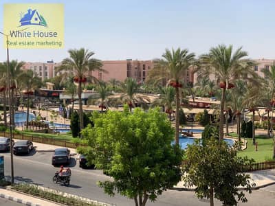 2 Bedroom Apartment for Rent in New Cairo, Cairo - WhatsApp Image 2025-10-28 at 2.18. 56 PM. jpeg 2 Bedroom Apartment for Rent in New Cairo, Cairo - WhatsApp Image 2025-10-28 at 2.18. 56 PM. jpeg