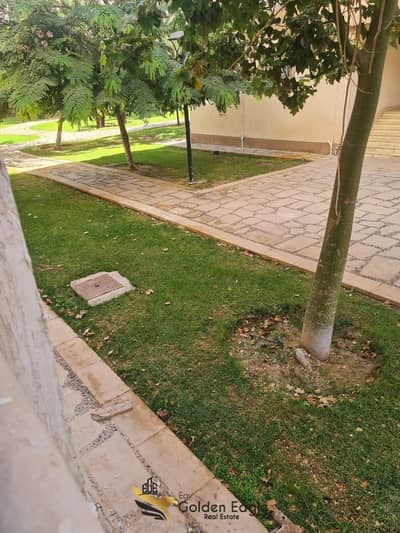 1 Bedroom Flat for Sale in Madinaty, Cairo - 571177671_1496562884907572_4092783664480806831_n. jpg