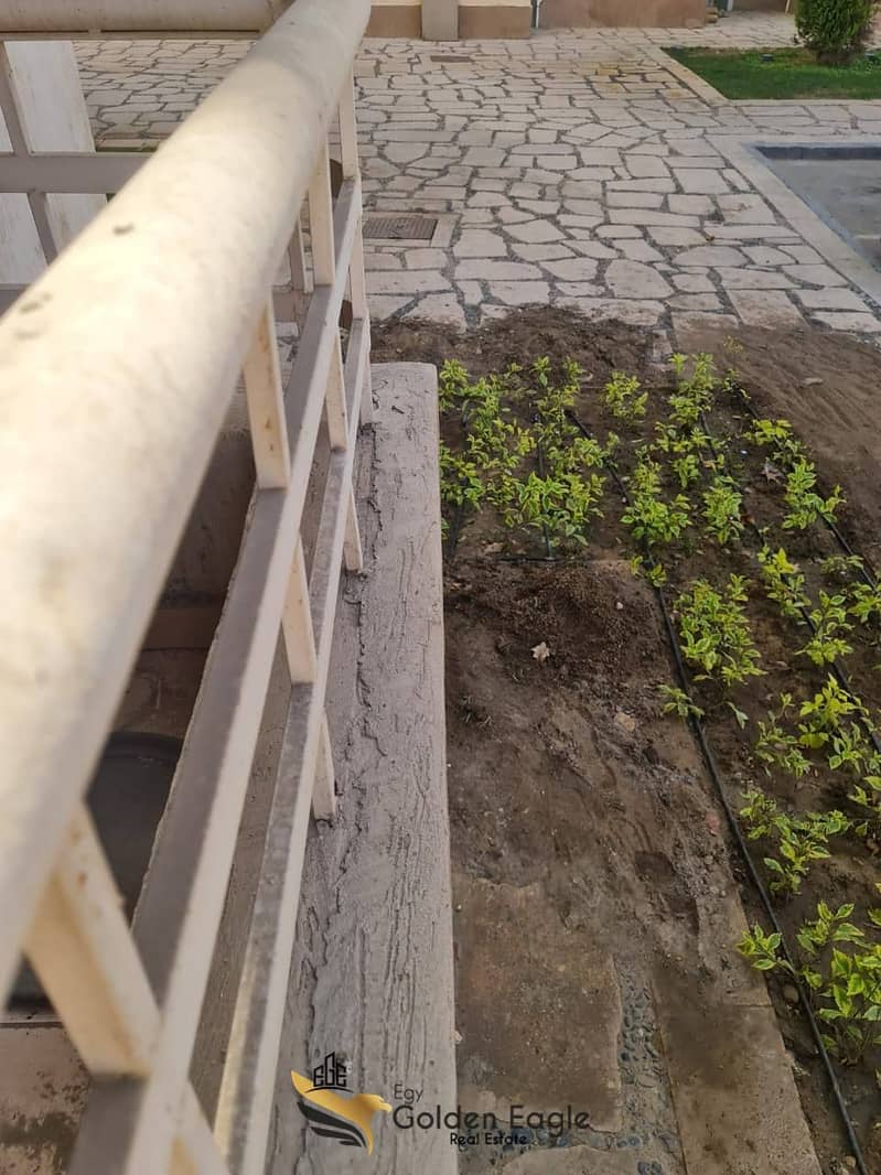 6 559660762_1496563061574221_4613362586984920963_n. jpg