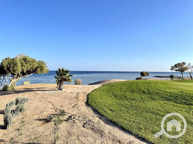 5 470062972_3703604266617541_2057965168096245213_n. jpg